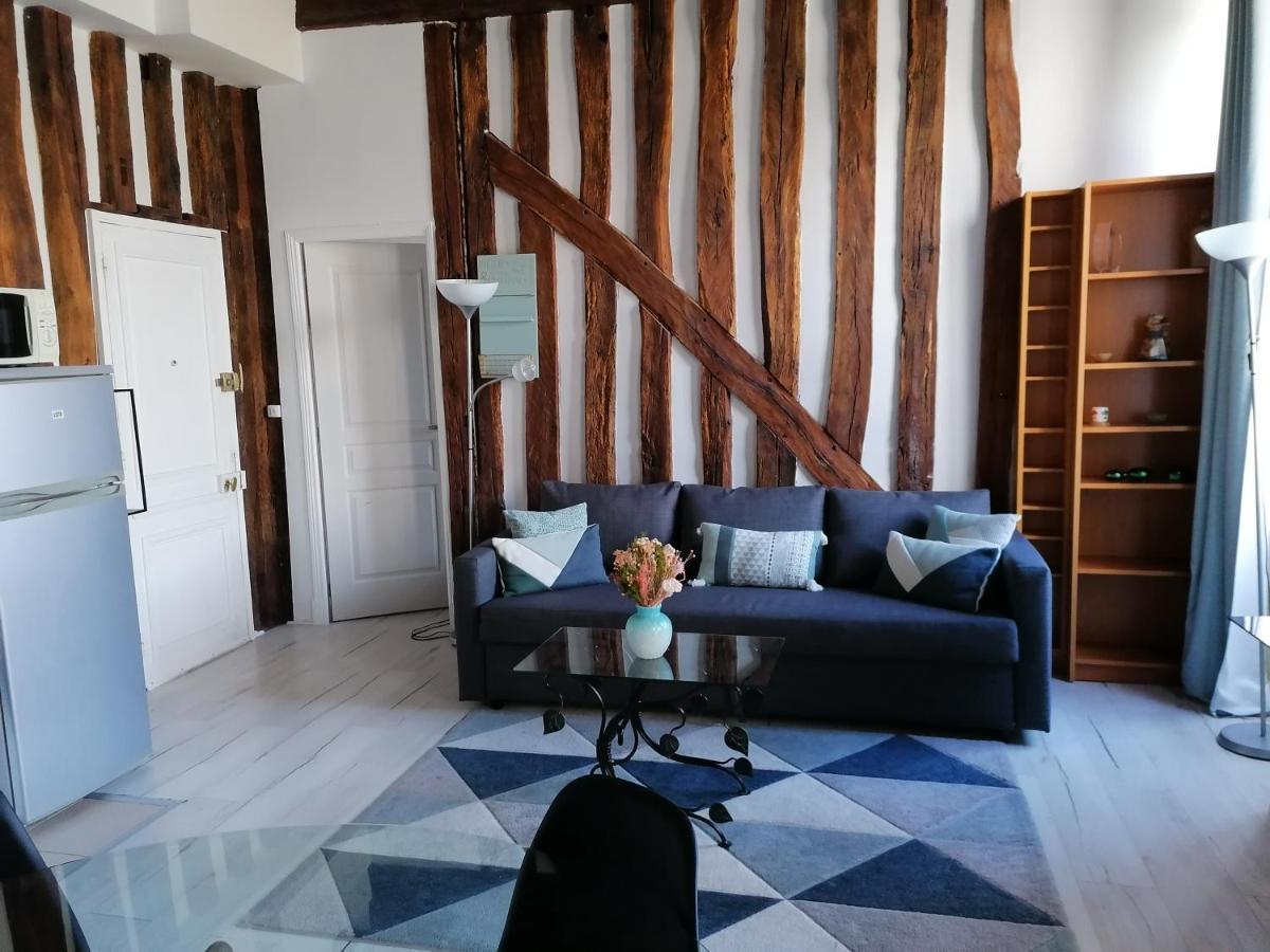 Evasion Autour De Poutres Et Pierres Plein Centre Apartment Orleans Ngoại thất bức ảnh