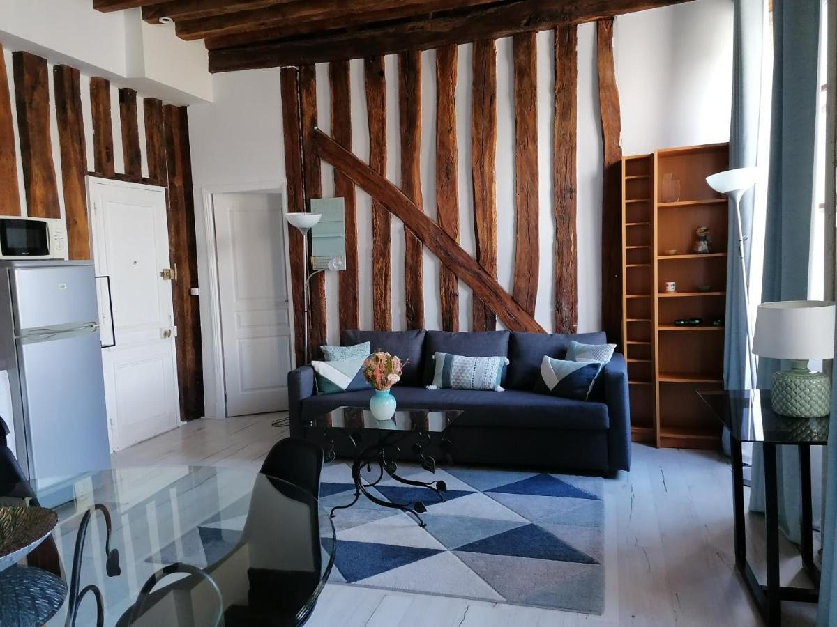 Evasion Autour De Poutres Et Pierres Plein Centre Apartment Orleans Ngoại thất bức ảnh